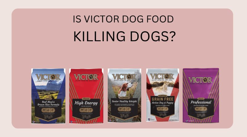 is grain free food killing dogs
