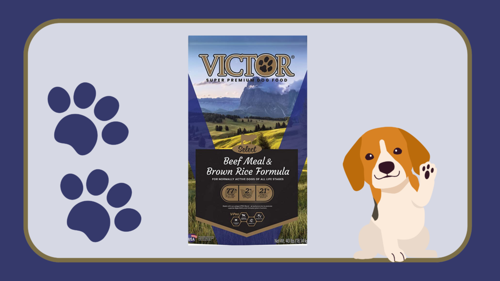 Victor Select Beef Meal and Brown Rice Formula.