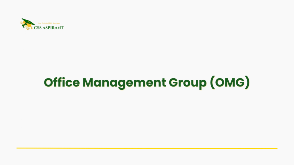Text image highlighting OMG, CSS group managing internal government operations, personnel, budgeting, and executive support in ministries.